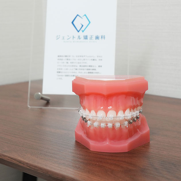 矯正治療を専門とする歯科医師による治療