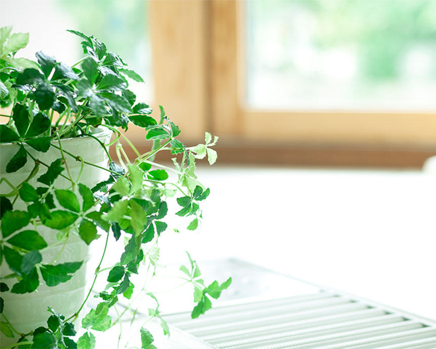 整った歯ならびは一生の宝物です